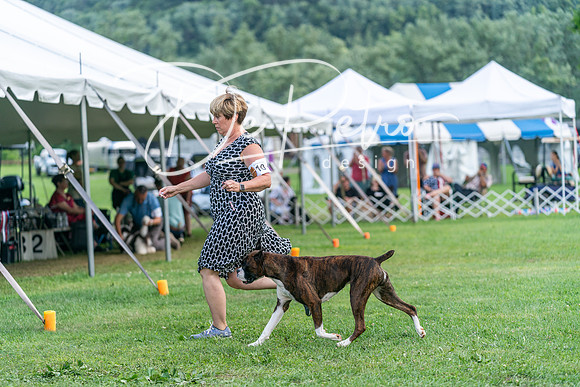 20240630-DSC05376