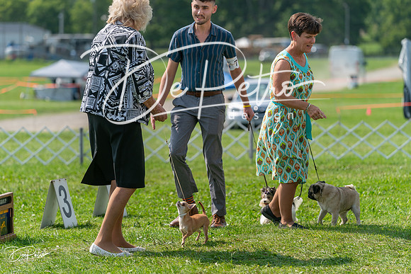 20240816-DSC00492