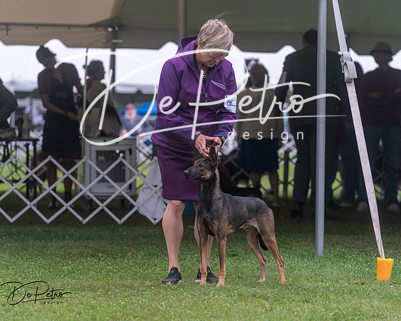 20250627-DSC06554