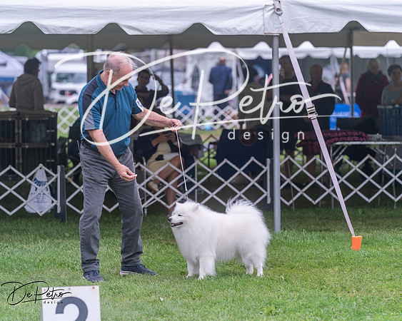 20250627-DSC06807