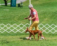 20250629-DSC09495