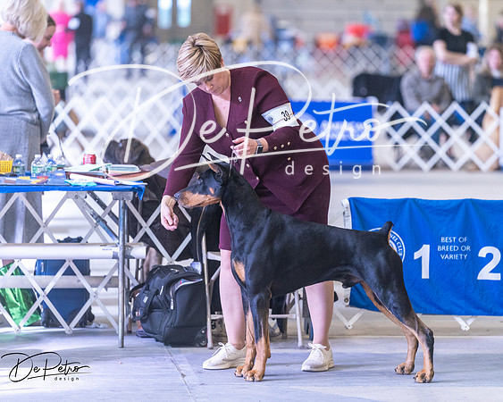 20250302-DSC07036