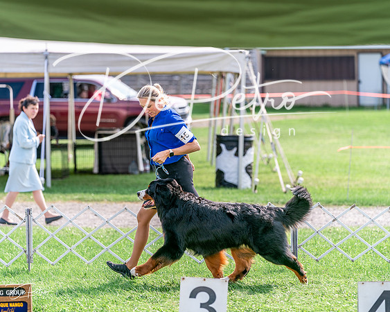 20240815-DSC07709