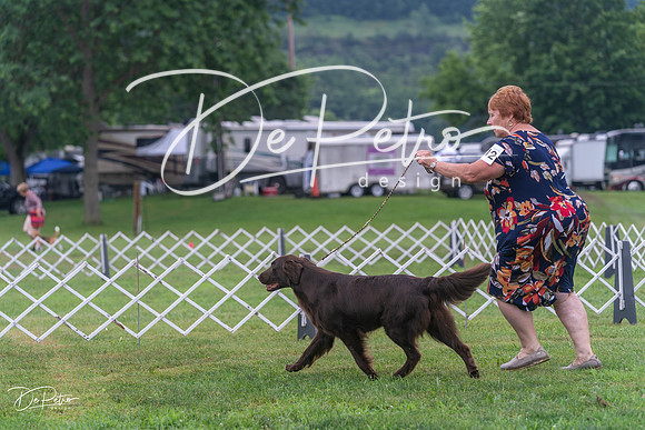 20250626-DSC02539