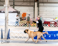 20250301-DSC03924