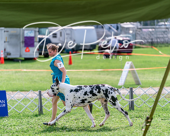 20240815-DSC07282