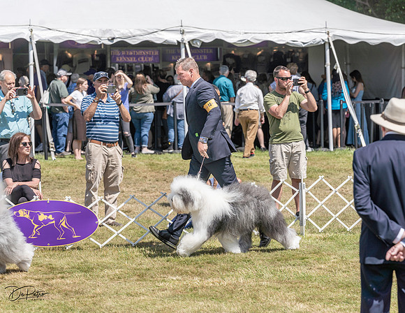 20220620-DSC03791
