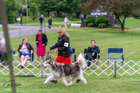 20250627-DSC05644