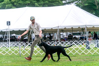 20250626-DSC02115