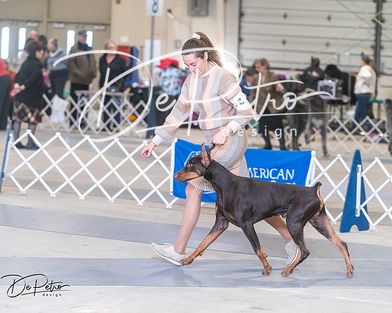 20250302-DSC07164