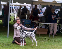 20250627-DSC06488