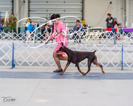 20220306-DSC00734