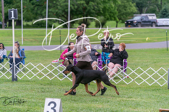 20250627-DSC05612