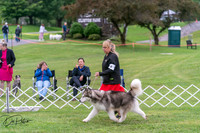 20250627-DSC05636