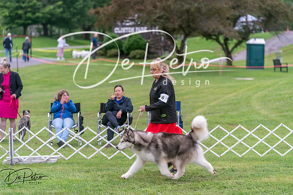 20250627-DSC05636
