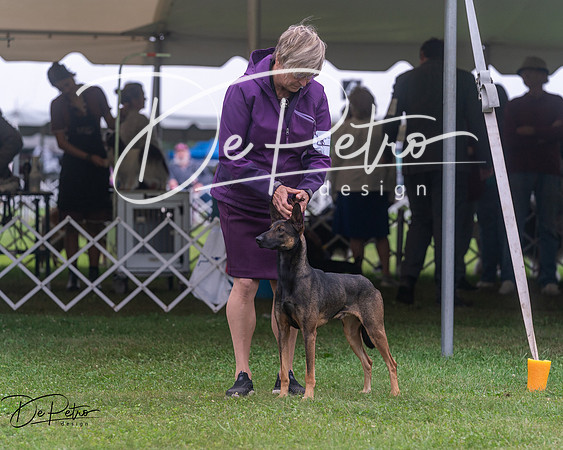 20250627-DSC06553
