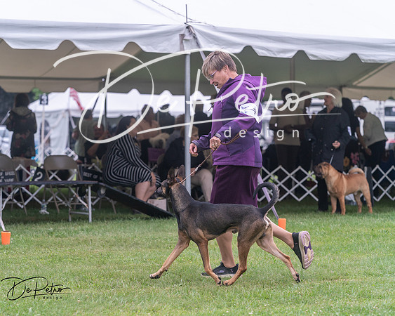 20250627-DSC06576