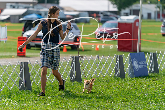 20240816-DSC00477
