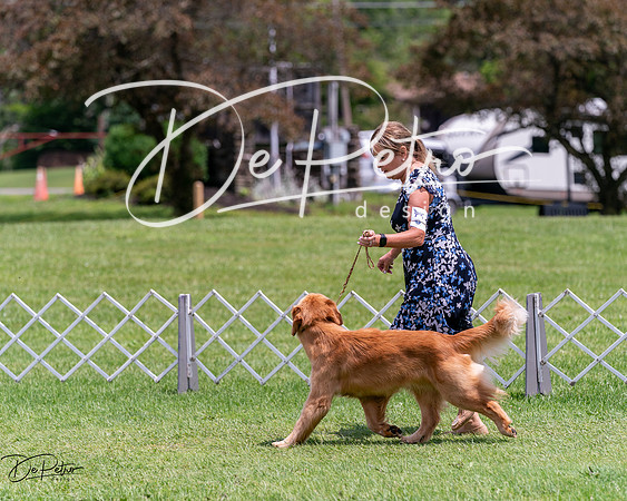 20240630-DSC00523