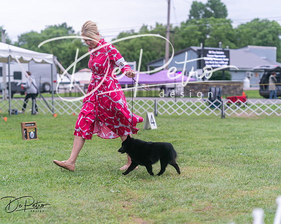20250627-DSC06648
