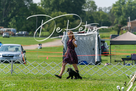 20240816-DSC00421