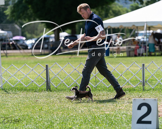 20240630-DSC01429