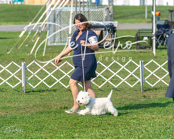 20240913-DSC00121