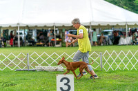 20240630-DSC02269