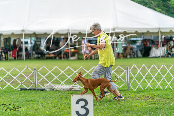 20240630-DSC02269