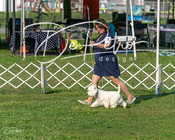 20240913-DSC00398