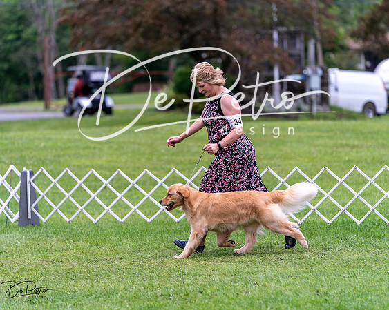 20240630-DSC00665
