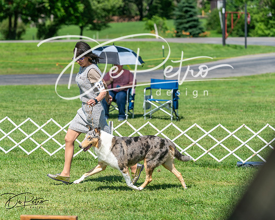 20250629-DSC01003