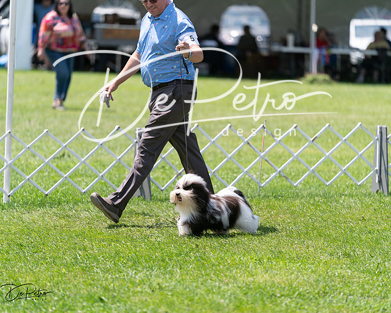 20240630-DSC01532