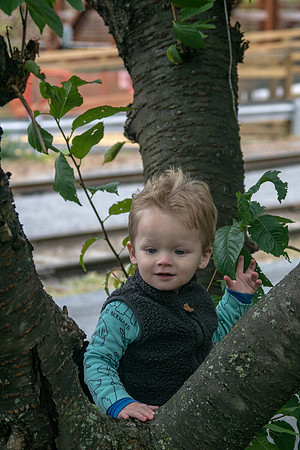 20181020-DSC03021