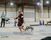20250302-DSC07831