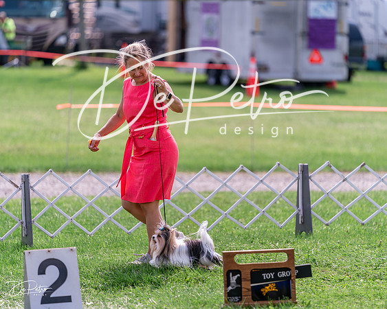 20240815-DSC06536
