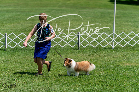20240630-DSC01379