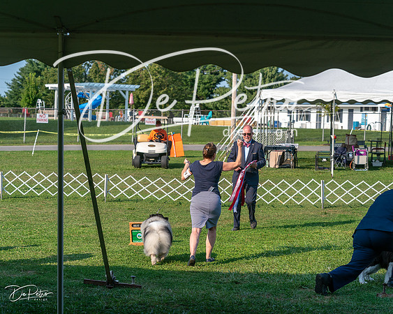 20240913-DSC00509