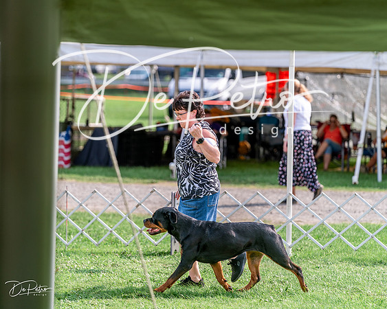 20240815-DSC07531