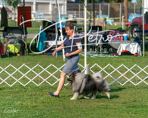 20240913-DSC00346