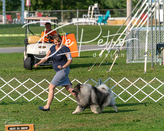20240913-DSC00372