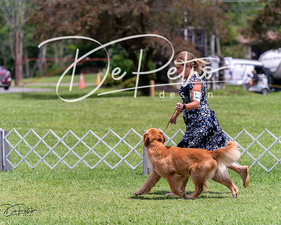 20240630-DSC00527