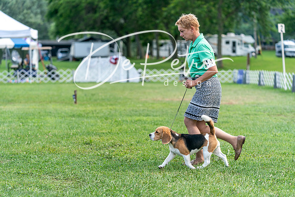 20240630-DSC05421