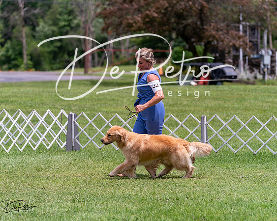 20240630-DSC00618
