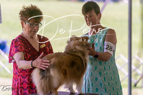 20240630-DSC01374
