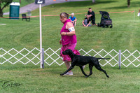 20250628-DSC07766