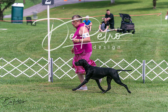 20250628-DSC07766