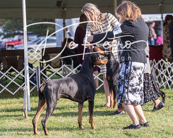 20190929-DSC02191