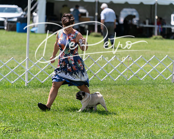 20240630-DSC01509
