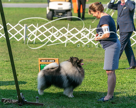 20240913-DSC00477